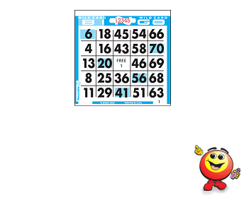 WILD CARD BINGO 